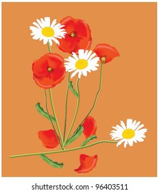Vector hand drawing with bouquet of wildflowers. EPS 10.