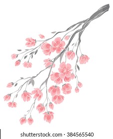 vector hand drawing - branch of sakura cherry blossoms with delicate pink flowers on white background