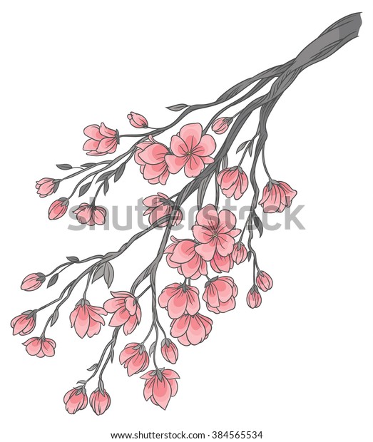 Vector Hand Drawing Branch Sakura Cherry Stock Vector (Royalty Free ...