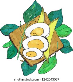 Vector hand drawing breakfast sandwich with avocado, eggs, spinach and herbs food illustration