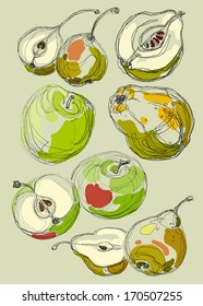 Vector hand drawing bright beautiful fruits set