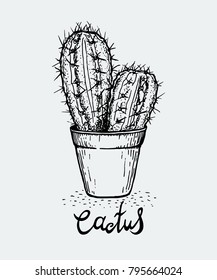 Vector hand drawing of a cactus in a pot, lettering. 