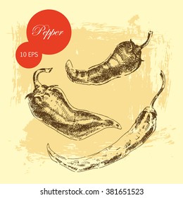 vector hand drawing chili pepper illustration