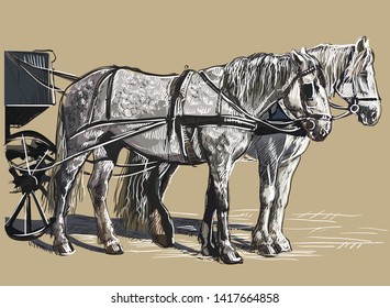 Vector hand drawing colorful Illustration horse standing in profile. Monochrome vector sketch hand drawing  illustration isolated on beige background.