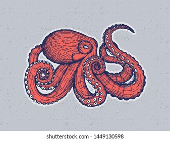 Vector hand drawing design with an octopus isolated from background. Beautiful card design with an animal. Trendy poster for home decor. Vector hand drawing print for t-shirt