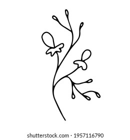 Vector hand drawing of an exotic twig with berries and leaves on a white background isolated.