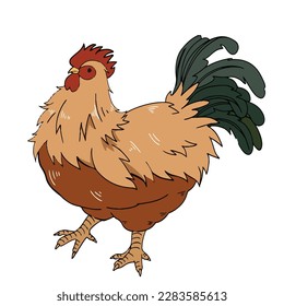 Vector - Hand drawing, fat chicken, doodle art.