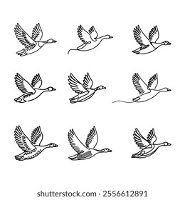 Vector Hand Drawing of Flying Migratory Goose