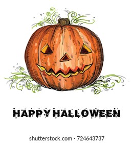 Vector hand drawing Halloween orange pumpkin isolated on white background