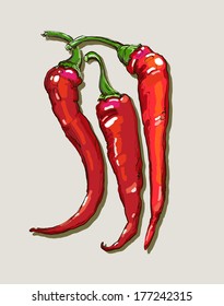 vector hand drawing hot peppers