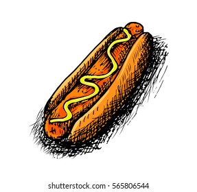 Vector hand drawing hotdog with mustard.