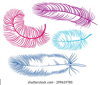 vector hand drawing illustration of different feather