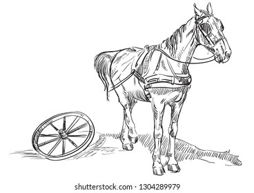 Vector hand drawing Illustration horse standing in profile in harness with wheel from carriage. Monochrome vector hand drawing sketch illustration in black color isolated on white background.