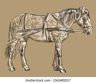 Vector hand drawing Illustration horse in harness standing in profile. Monochrome vector hand drawing sketch illustration in black and white colors isolated on beige background.