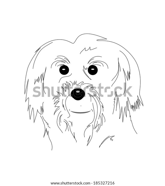 77+ Maltese Dog Drawing