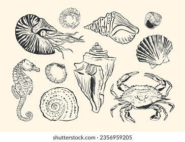 Vector hand drawing marine illustration collection