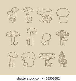 Vector hand drawing mushrooms for recipes and menus line icons