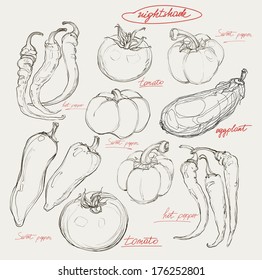 vector hand drawing nightshade vegetables set