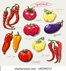 vector hand drawing nightshade vegetables set