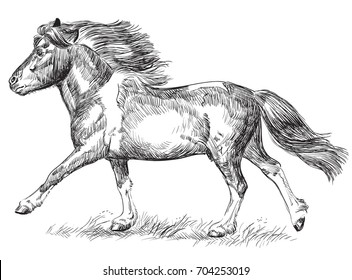 Vector hand drawing  pony galloping in black color isolated on white background