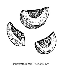 Calabaza de dibujo de la mano del vector. Objeto aislado sobre fondo blanco. Ilustración vegetal. Esbozo detallado de comida vegetariana. Producto del mercado agrícola. Para imprimir, web, diseño, decoración, logotipo.