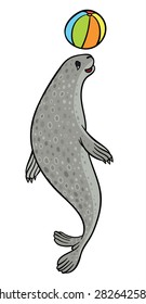 vector hand drawing seal with colorful ball - harbor seal or true seal
