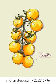 vector hand drawing set of juicy tomatoes