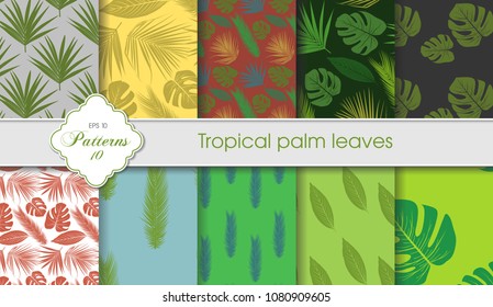 Vector hand drawing set of tropical backgrounds. Palm leaves samples. Postcards, certificates, letterheads, greeting cards, fabrics, wallpaper