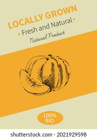 Vector hand drawing sketch of plant banner. Eco food product. Vintage vector illustration of a pumpkin.