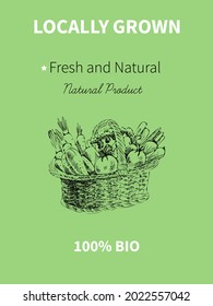 Vector hand drawing sketch of plant banner. Eco food product. Vintage vector illustration of a basket with vegetables.