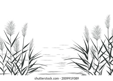 Vector hand drawing sketch with reeds and pond.Illustration of black and white reeds.
Cane silhouette on white background. 