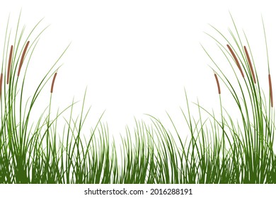 Vector hand drawing sketch with reeds
Cane silhouette on white background. 