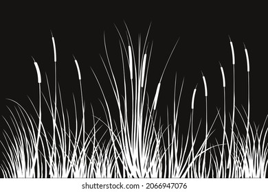 Vector hand drawing sketch with reeds or cane. Illustration of black and white silhouette.
