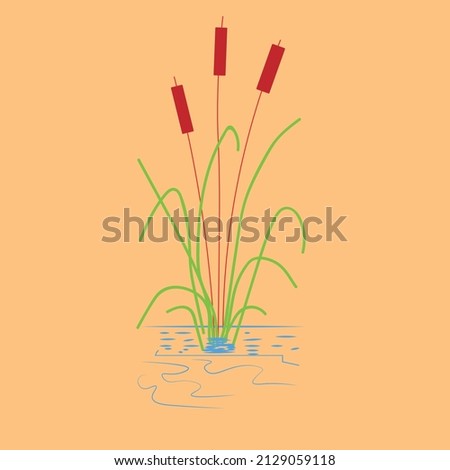 Vector hand drawing sketch with reeds. Illustration of black and white bulrush. Cane silhouette on sunset background. Strip of swamp cattails. Marsh reed, grass. image template