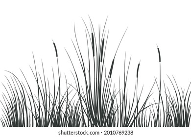 Vector hand drawing sketch and reeds Illustration black   white reeds 
Cane silhouette white background  