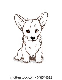 Vector hand drawing sketch of the welsh corgi dog 