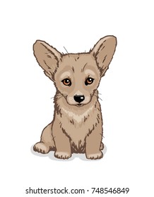Vector hand drawing sketch of the welsh corgi dog 