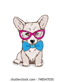 Vector hand drawing sketch of the welsh corgi dog in clothes