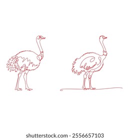 Vector Hand Drawing of Standing Ostrich