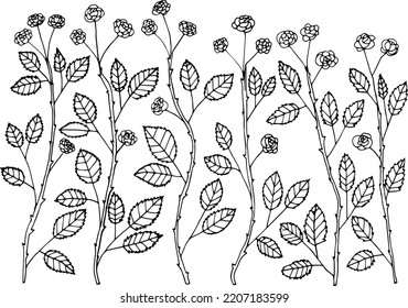 Vector hand drawing wild thickets of rose bushes. Rosehip bushes. Thorny roses.