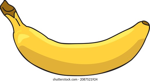 vector hand drawing yellow banana