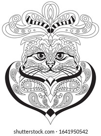 Vector hand drawing zentangle doodle coloring antistress with ornamental scottish fold cat portrait isolated on white background. Illustration for decorate tee shirt, adult antistress coloring book.