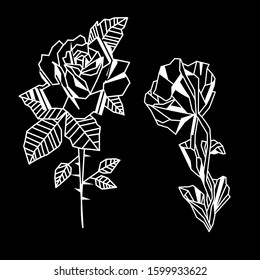 Vector hand drawn of abstract rose and flower on black background.
In minimalism art style.