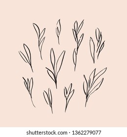 Vector hand drawn abstract rough leaves illustration. Elegant and stylish ink decorative design elements.