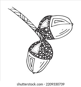 Vector Hand Drawn Acorn Illustration. Autumn Botany Sketch Clipart.