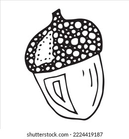 Vector hand drawn acorn illustration. Autumn botany sketch clipart.