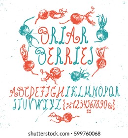 Vector hand drawn alphabet with briar. Hand drawn illustrations of a dogrose in red, blue and white color. ABC Painted Letters. Brush painted letters. 