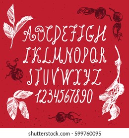 Vector hand drawn alphabet with briar. Hand drawn illustrations of a dogrose in red and white color. ABC Painted Letters. Brush painted letters. 
