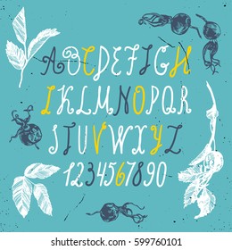 Vector hand drawn alphabet with briar. Hand drawn illustrations of a dogrose in blue, white and yellow color. ABC Painted Letters. Brush painted letters. 