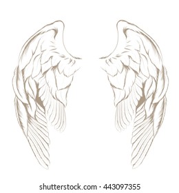 Vector hand drawn angel wings isolated on white background